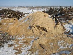 В поселке Барашево Республики Мордовия выявлена свалка производственных отходов пилорамы В поселке Барашево Республики Мордовия выявлена свалка производственных отходов пилорамы
