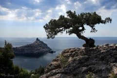 Вадим Потомский: «600 орловских детей в этом году поедут отдыхать в Крым» Вадим Потомский: «600 орловских детей в этом году поедут отдыхать в Крым»