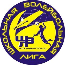 «Школьная волейбольная лига» Нижневартовска получит окружное финансирование