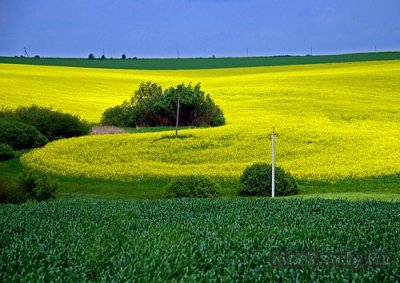 Об итогах работы Управления Россельхознадзора по Томской области в области земельного надзора за ноябрь 2015 года Об итогах работы Управления Россельхознадзора по Томской области в области земельного надзора за ноябрь 2015 года