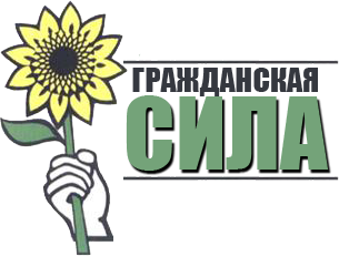 Партия гражданская сила презентация
