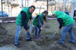 ���� ��� �����Ż ������� �� �������� ������� � ������������� ������������� ����� ������� � ����������