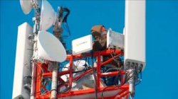 ����������� ������ �� �������� ���������