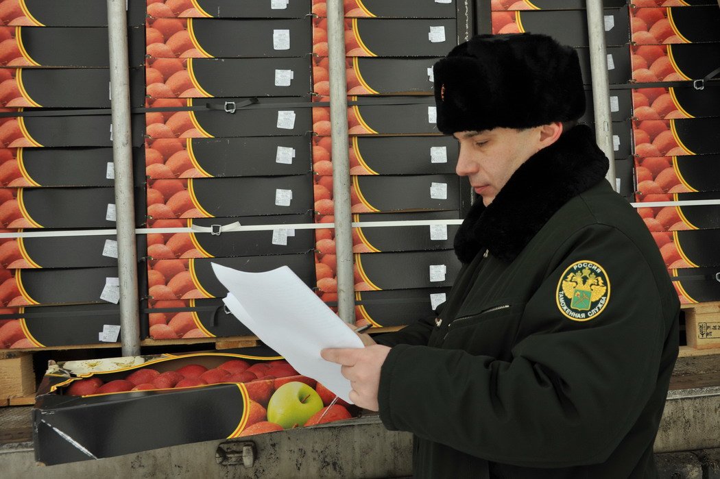 работа мобильных групп. работа мобильных групп. работа мобильных групп. проверки бизнеса. работа мобильных групп.