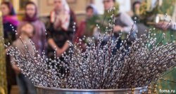 ���������� ���� ������������ ������� � ����� �� ����� ������� � ����������� ����������! 