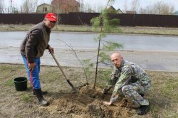 ���� �������������� � ��������������