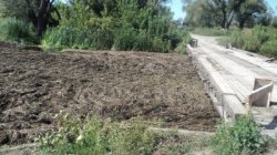 После сигнала ОНФ в Воронежской области власти подключились к решению проблемы загрязнения реки Тихая Сосна После сигнала ОНФ в Воронежской области власти подключились к решению проблемы загрязнения реки Тихая Сосна