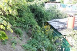 ОНФ призывают власти Воронежа остановить сползание грунта на дом в Старомосковском переулке ОНФ призывают власти Воронежа остановить сползание грунта на дом в Старомосковском переулке