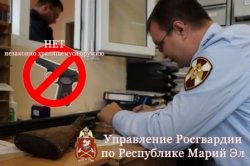 Росгвардия по Марий Эл призывает граждан к добровольной сдаче оружия 