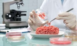 Ветеринары подвели итоги 4 квартала 2019 года Ветеринары подвели итоги 4 квартала 2019 года