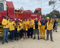Облегчая последствия лесных пожаров в Австралии