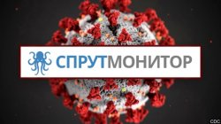 СпрутМонитор: коронавирусная инфекция не помешает рабочему процессу СпрутМонитор: коронавирусная инфекция не помешает рабочему процессу