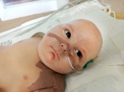 Шанс на полноценную жизнь Шанс на полноценную жизнь