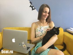        5 CATS