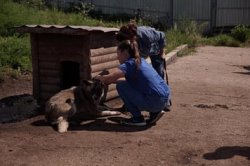 Помощь животным продолжается