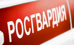 В Великом Новгороде росгвардейцы пресекли кражу В Великом Новгороде росгвардейцы пресекли кражу