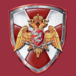 В Калининграде представители Росгвардии рассказали гражданам о вакансиях В Калининграде представители Росгвардии рассказали гражданам о вакансиях