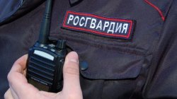 В Кондопоге росгвардейцы задержали подозреваемых в нанесении телесных повреждений В Кондопоге росгвардейцы задержали подозреваемых в нанесении телесных повреждений