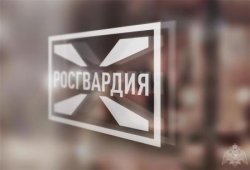 Центр лицензионно-разрешительной работы Управления Росгвардии по Республике Марий Эл предупреждает владельцев оружия о запрете на ввоз оружия Центр лицензионно-разрешительной работы Управления Росгвардии по Республике Марий Эл предупреждает владельцев оружия о запрете на ввоз оружия
