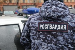 В Череповце сотрудники Росгвардии задержали двух мужчин, подозреваемых в грабеже В Череповце сотрудники Росгвардии задержали двух мужчин, подозреваемых в грабеже