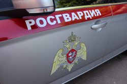 Сотрудники Росгвардии задержали двух мужчин, устроивших дебош в супермаркете Сотрудники Росгвардии задержали двух мужчин, устроивших дебош в супермаркете
