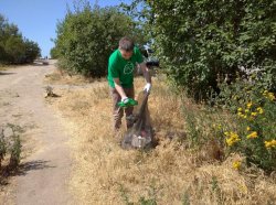 Петербуржцы провели субботник в зеленой зоне реки Смоленки 