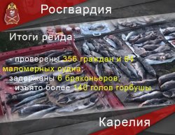 Сотрудники карельского ОМОН провели спецоперацию совместно с агентством по рыболовству Сотрудники карельского ОМОН провели спецоперацию совместно с агентством по рыболовству