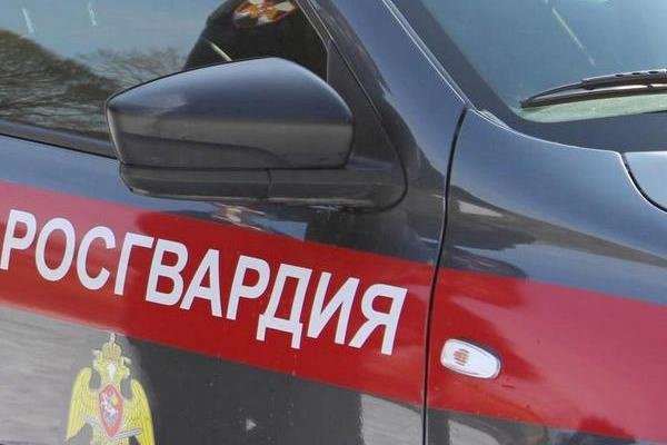 Цены На Бытовые Товары В Магазинах Цены На Бытовые Товары В Магазинах