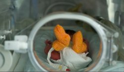 �����, ��������� � �������