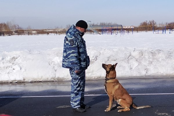 Подростки, состоящие на учете в УИИ УФСИН России по Курганской области, посетили показательные выступления служебных собак Подростки, состоящие на учете в УИИ УФСИН России по Курганской области, посетили показательные выступления служебных собак