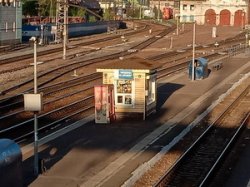 «Надёжный товарищ Петрович» привёл жительницу Кузбасса к 25-тысячному штрафу «Надёжный товарищ Петрович» привёл жительницу Кузбасса к 25-тысячному штрафу