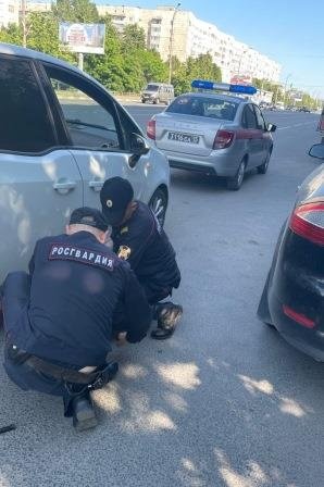 Ульяновские сотрудники Росгвардии оказали помощь автоледи Ульяновские сотрудники Росгвардии оказали помощь автоледи