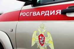 Няндомский патруль Росгвардии задержал напавшего на женщину дебошира-рецидивиста Няндомский патруль Росгвардии задержал напавшего на женщину дебошира-рецидивиста