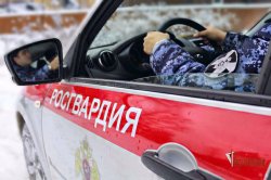 В Орле росгвардейцы задержали ранее судимого ********* title=