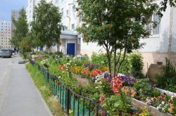 Только совместными усилиями можно сделать дворы уютными, красивыми и комфортными Только совместными усилиями можно сделать дворы уютными, красивыми и комфортными