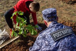 В Челябинске сотрудники Росгвардии стали участниками экологического субботника «Зеленая Россия» по высадке деревьев