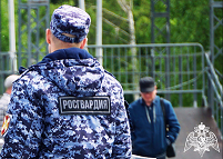 В Карелии наряды Росгвардии за неделю задержали 22 правонарушителя В Карелии наряды Росгвардии за неделю задержали 22 правонарушителя