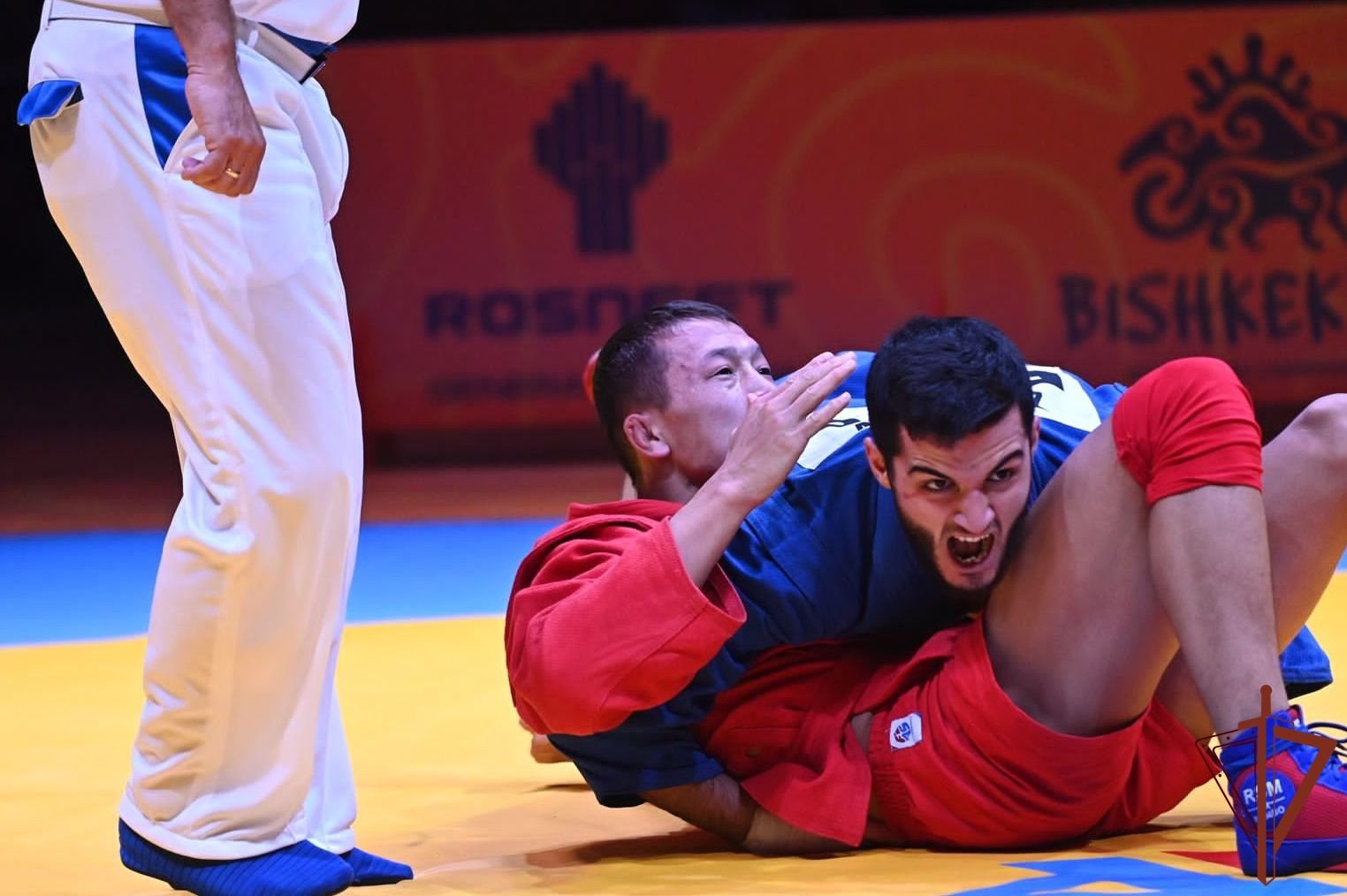 Чемпионат мира по самбо в Киргизии