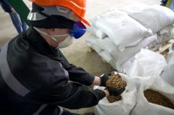 ������������ ������ �� ������������� ���� ����������� �������� ���������, ��������� �����, ������� ����� �� 3 ���� 183 ��� ������