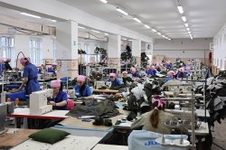 ������������ ������ �� ������������� ���� ����������� �������� ���������, ��������� �����, ������� ����� �� 3 ���� 183 ��� ������