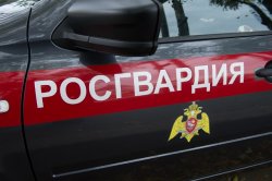 В Челябинске росгвардейцы задержали девушку, находившуюся в федеральном розыске за Ямало-Ненецким автономным округом