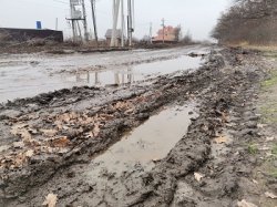 Под Воронежем 2,5 километра дороги превратили в непроходимое болото Под Воронежем 2,5 километра дороги превратили в непроходимое болото
