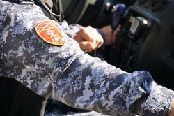 В Сортавальском районе росгвардейцы задержали ********** title=