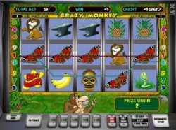 ������� ������� Crazy Monkey � ������ �� �������� ������. ����� �� ��������� vse-kasino.com 