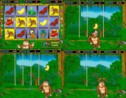 ������� ������� Crazy Monkey � ������ �� �������� ������. ����� �� ��������� vse-kasino.com 