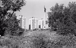 Вклад войск НКВД СССР в разгром немецко-фашистских войск в Сталинградской битве Вклад войск НКВД СССР в разгром немецко-фашистских войск в Сталинградской битве
