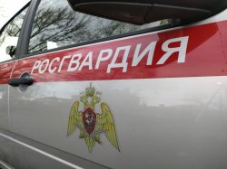 Карельские росгвардейцы задержали похитителя из Мурманской области Карельские росгвардейцы задержали похитителя из Мурманской области