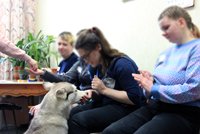 Психологи ФКУ ИК-9 провели для осужденных женщин участка колонии-поселения сеанс анималотерапии Психологи ФКУ ИК-9 провели для осужденных женщин участка колонии-поселения сеанс анималотерапии