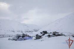 Международные тактико-специальные занятия подразделений спецназа Росгвардии и МВД Республики Беларусь состоялись в Мурманской области Международные тактико-специальные занятия подразделений спецназа Росгвардии и МВД Республики Беларусь состоялись в Мурманской области