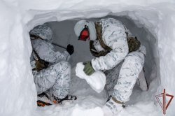 Международные тактико-специальные занятия подразделений спецназа Росгвардии и МВД Республики Беларусь состоялись в Мурманской области Международные тактико-специальные занятия подразделений спецназа Росгвардии и МВД Республики Беларусь состоялись в Мурманской области